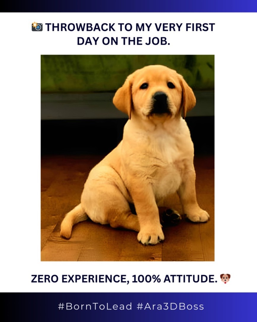 Bernie's Puppy picture