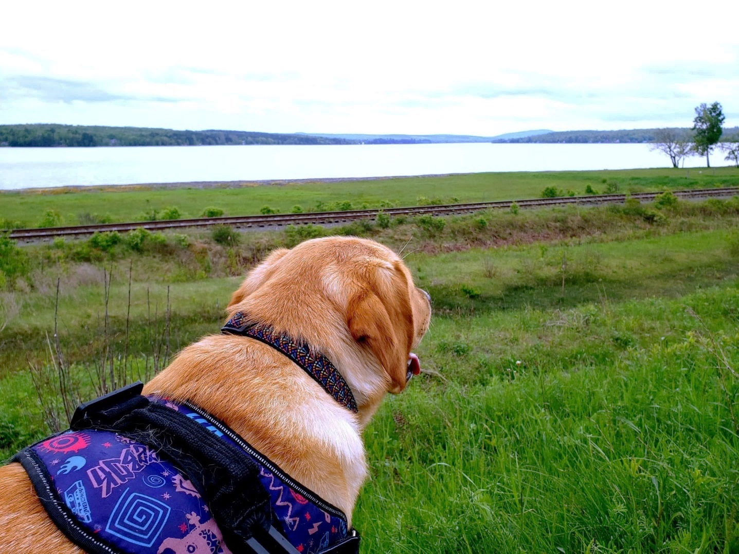 Bernie looking back